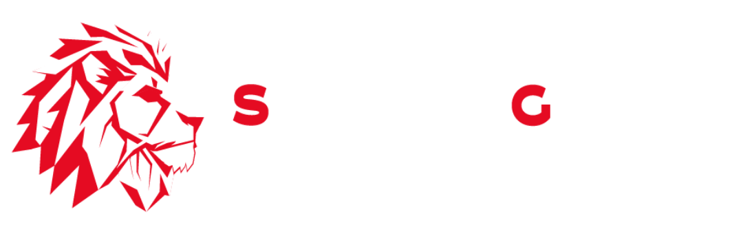 Omen Official Gaming Partner